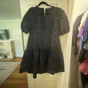 Zara Printed Puff Sleeve Dress
